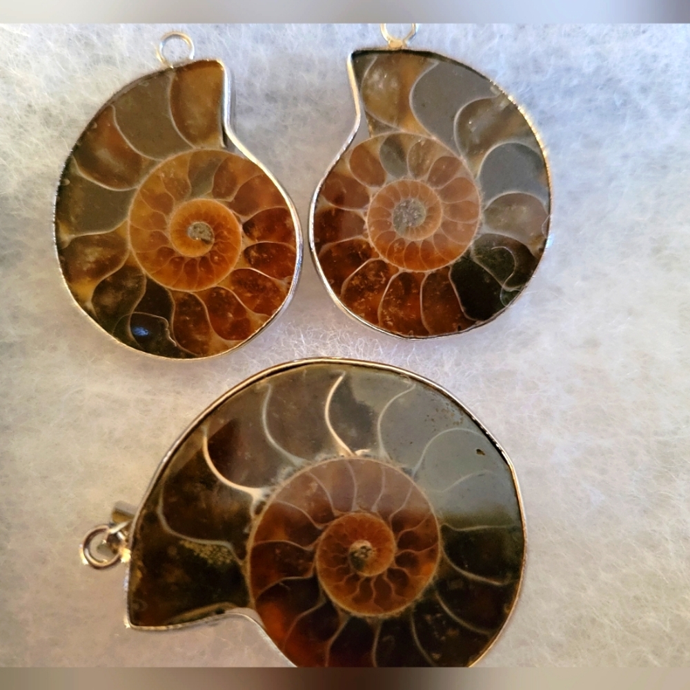 Ammonite fossil earrings and Pendant set